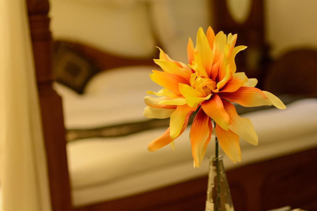 Bali House Apartment Hualien City Luaran gambar