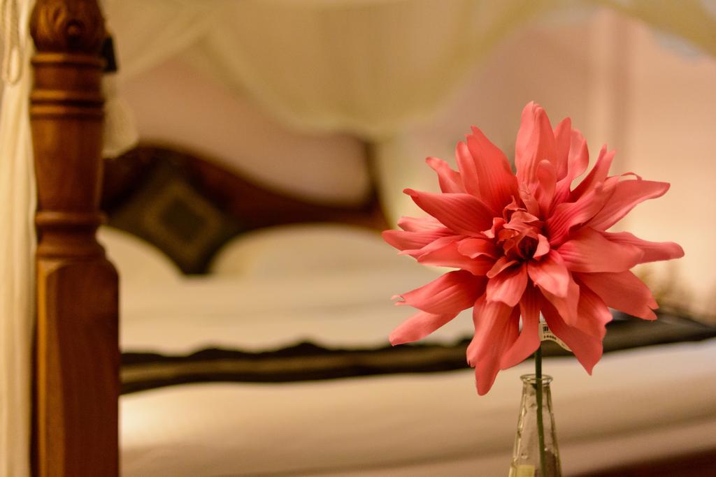 Bali House Apartment Hualien City Luaran gambar